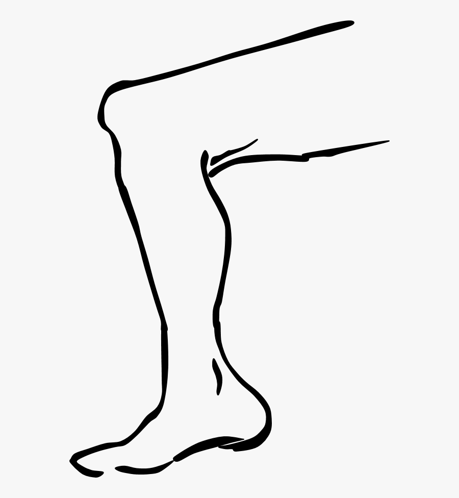 Leg Free Clipart Body Parts Clipart Club Image - Leg Clipart Black And White, Transparent Clipart