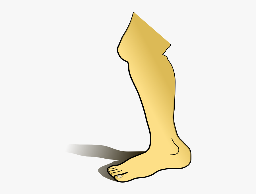 Human Leg Vector Image - Leg Clipart, Transparent Clipart