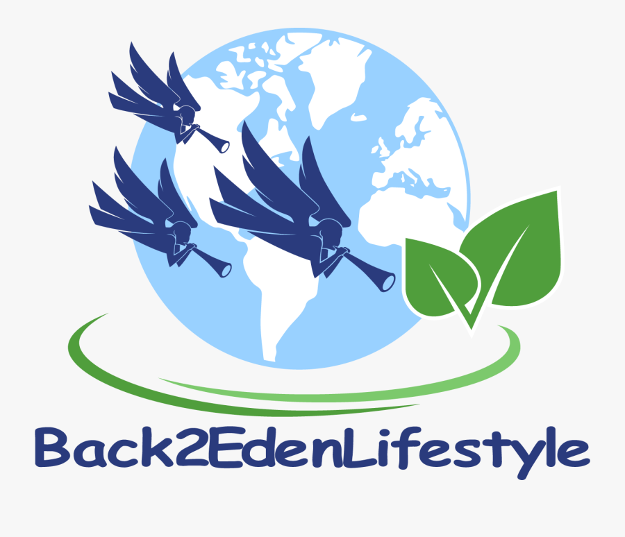 Back Edenlifestyle Org - World Map, Transparent Clipart