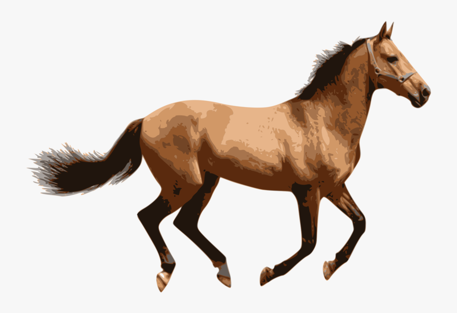Horse Lion Computer Icons Animal - Brown Horse Transparent Background, Transparent Clipart