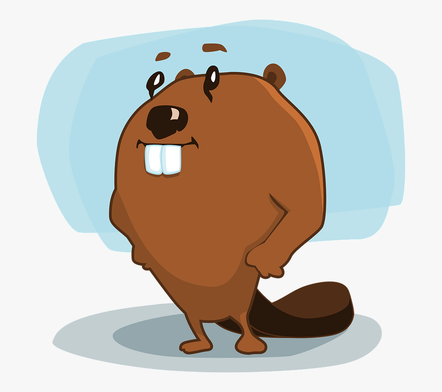 Beaver Cartoon, Transparent Clipart