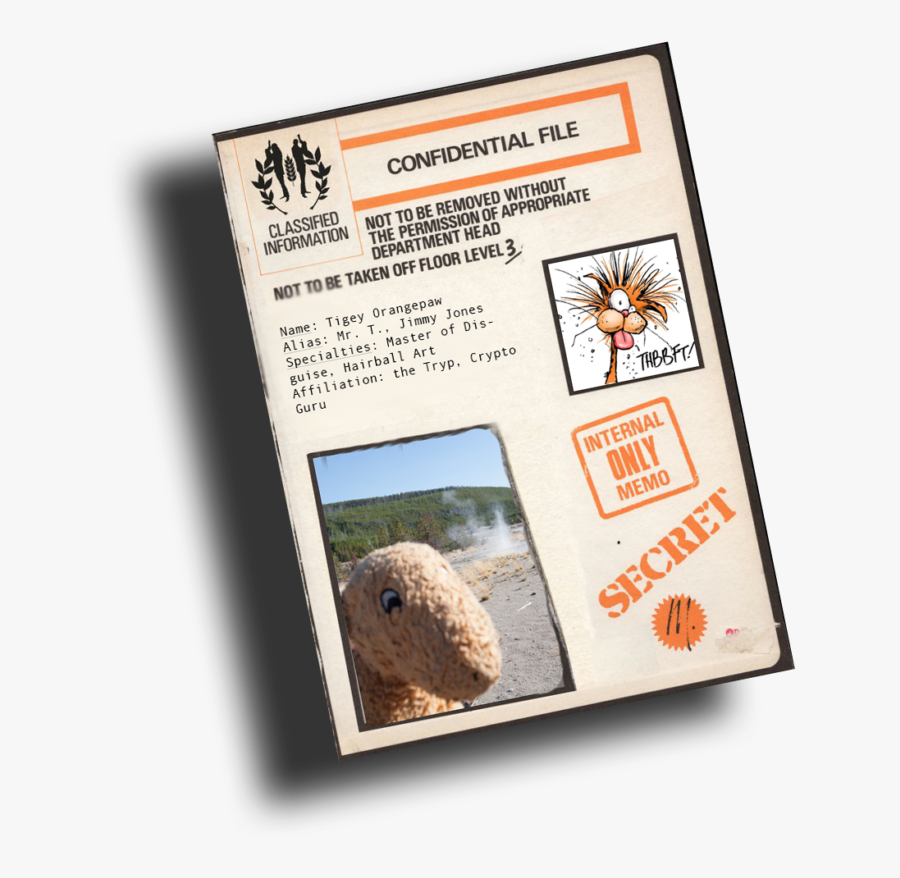 Transparent Capybara Clipart - Igneous Rock, Transparent Clipart