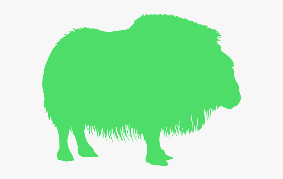 Pomeranian, Transparent Clipart