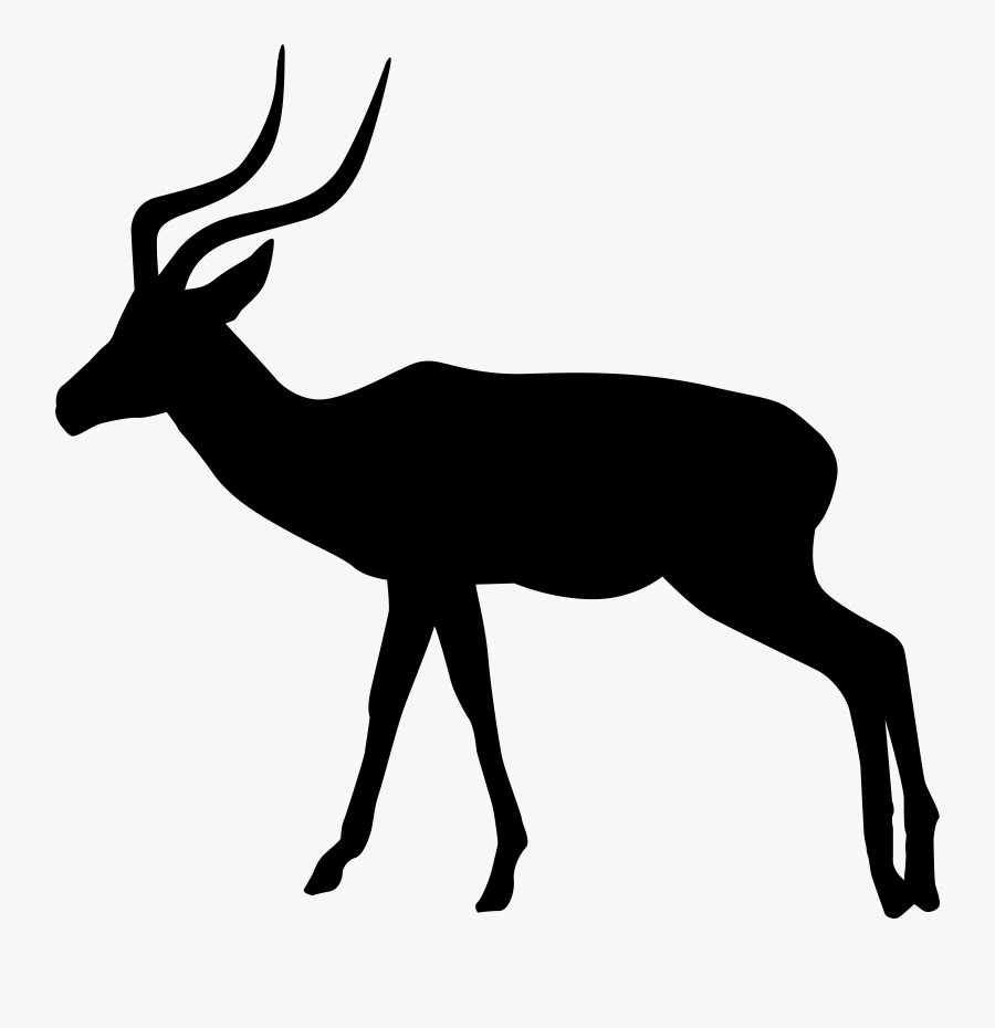 White Tailed Deer Clipart Rusa, Transparent Clipart