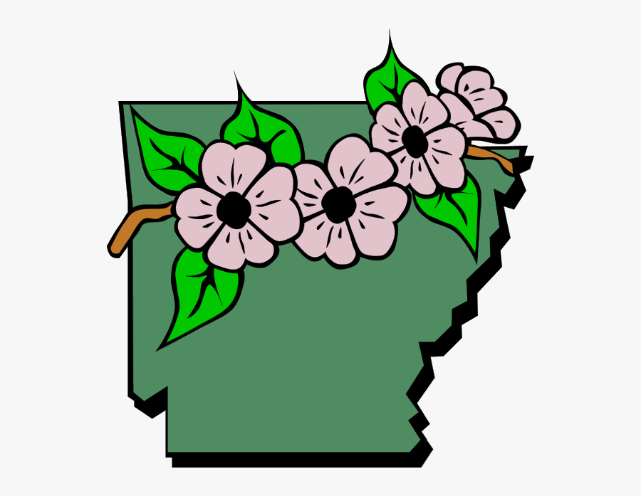 Arkansas State Flower Clipart - Clipart Arkansas State Outline, Transparent Clipart