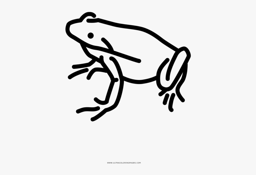 Agalychnis, Transparent Clipart