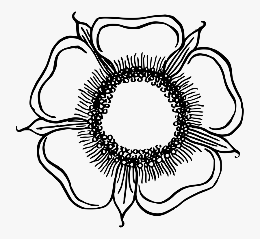 Line Art,flower,eye - Flower Sketches In Circle, Transparent Clipart