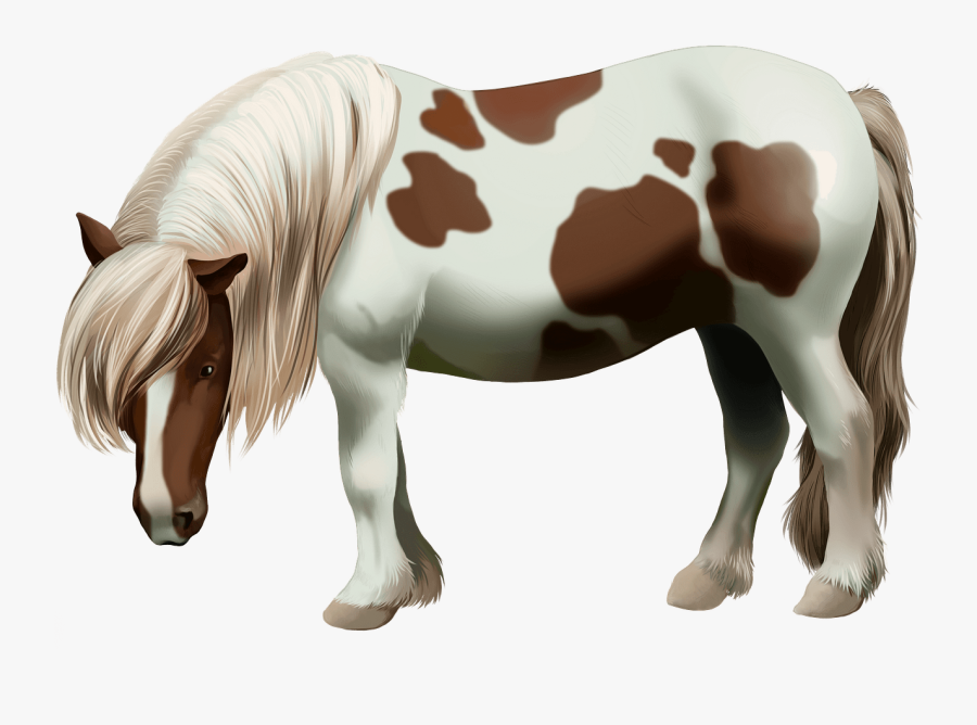 Shetland Pony Clipart, Transparent Clipart