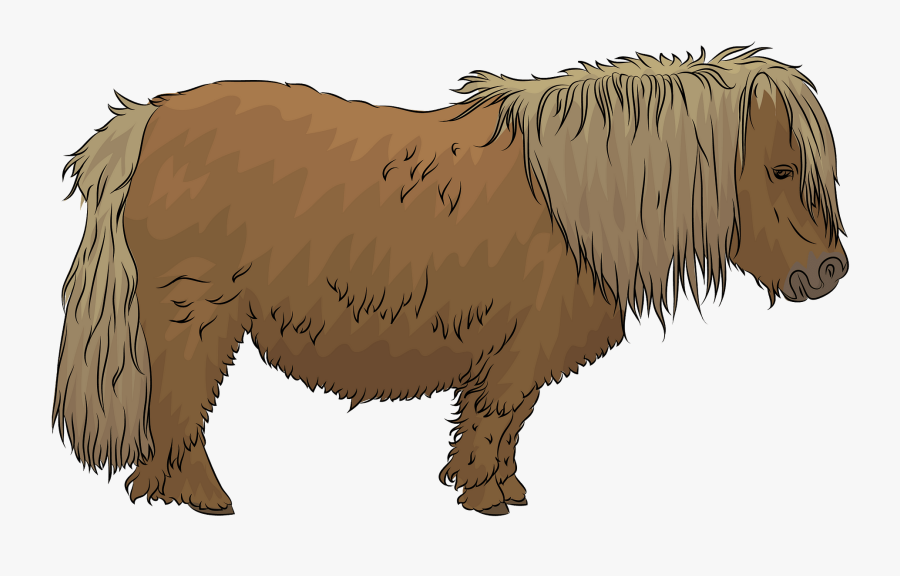Pony Clipart, Transparent Clipart