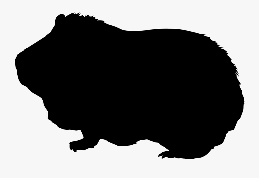 Guinea Pig Silhouette Free, Transparent Clipart