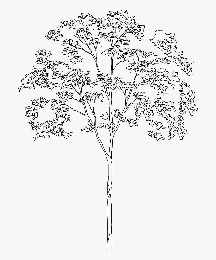 Tree Architecture Tree Drawing Png, Transparent Clipart