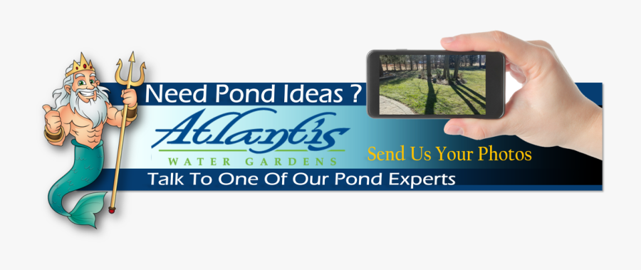 Picture - Morris County, Transparent Clipart