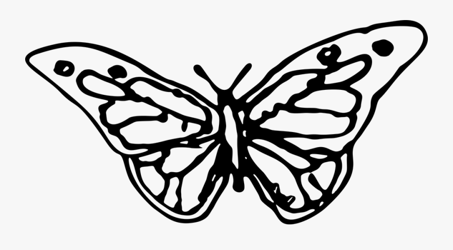 Cute Butterfly Line Drawing 15, Buy Clip Art - Hand Drawn Butterfly Png, Transparent Clipart