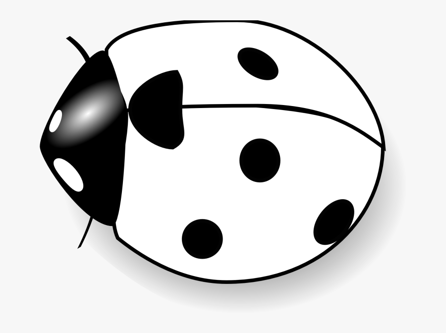 Insects Clipart Black And White - Lady Bug Black And White, Transparent Clipart