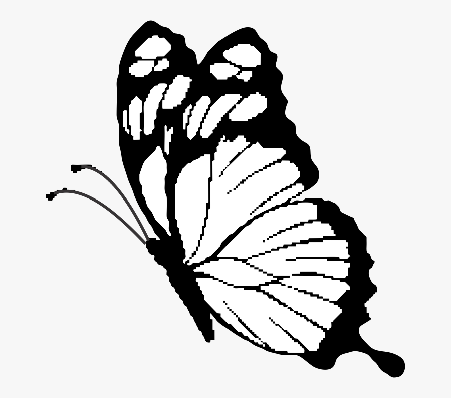 Brush-footed Butterfly Clipart , Png Download - Butterfly Silhoutee, Transparent Clipart