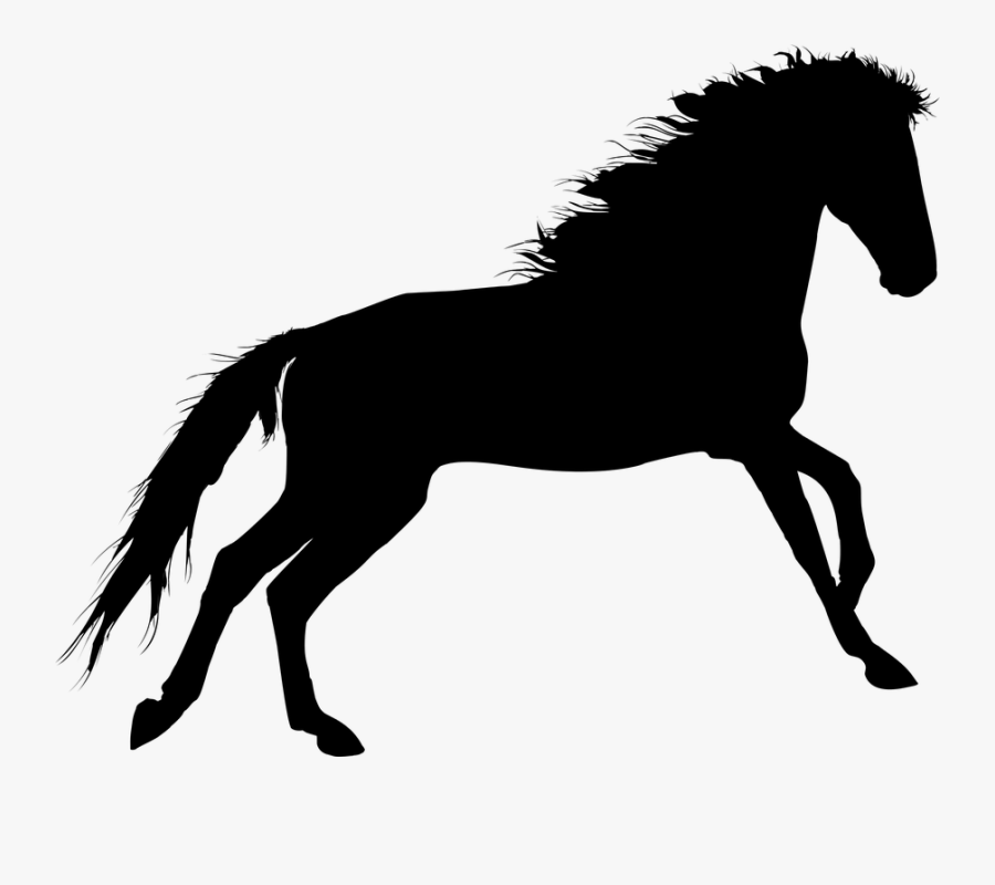 Horse Silhouette Pleasure Riding Clip Art - Transparent Horse Roped Silhouette, Transparent Clipart
