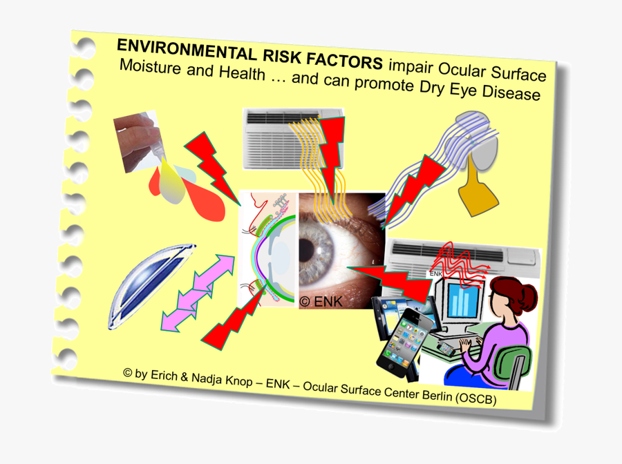Deeper Insight Therapy Risk - Disease Environmental Factors For The Eye, Transparent Clipart