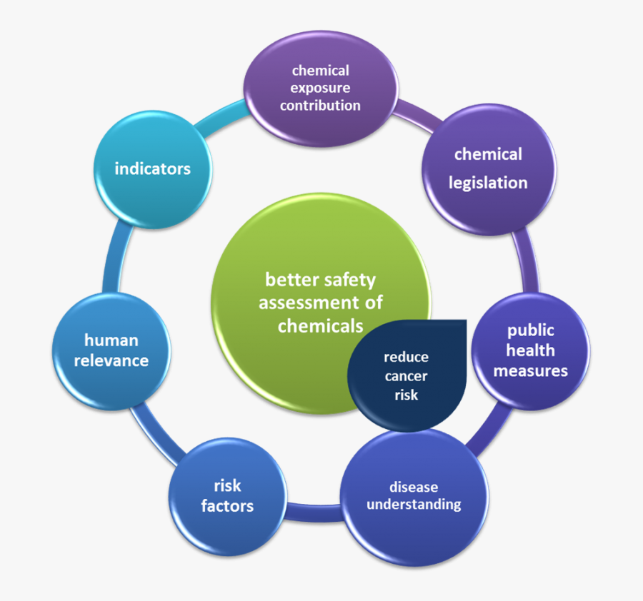 Elements Of Distribution Channel , Free Transparent Clipart ClipartKey