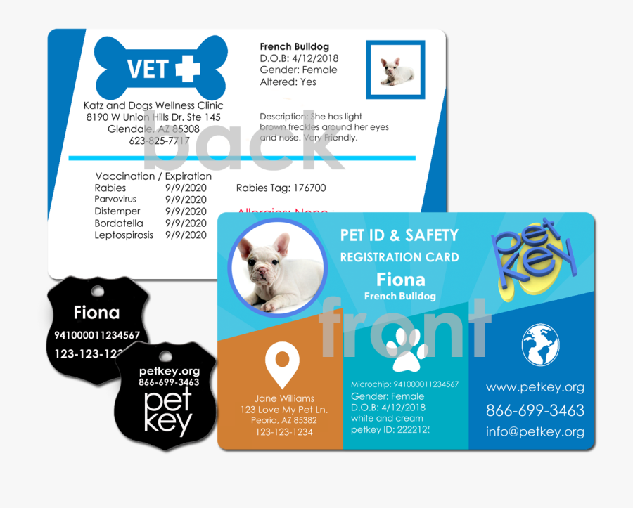 Order Pet Id Card - Nationwide Pet Insurance Card, Transparent Clipart