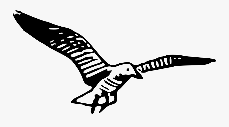 Seagull Graphic, Transparent Clipart