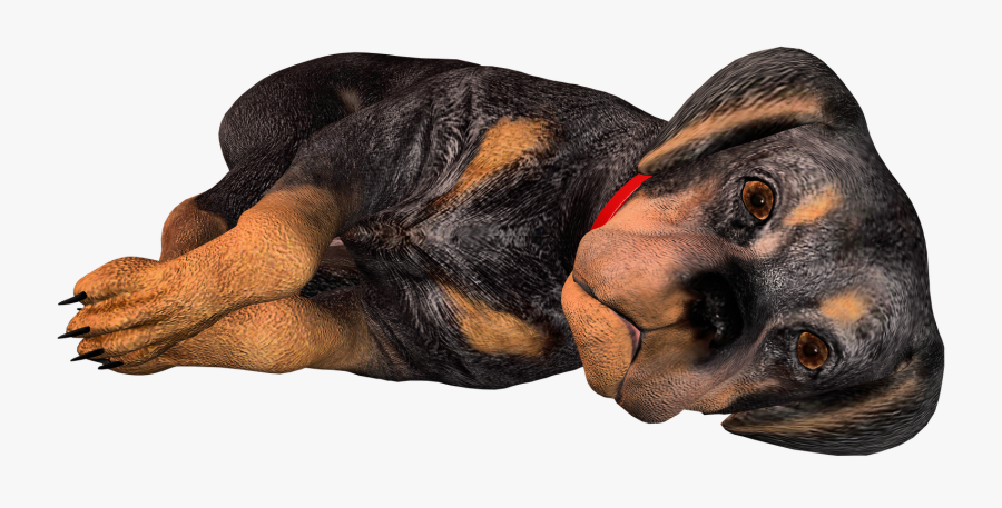 Transparent Hunting Dog Clipart, Transparent Clipart