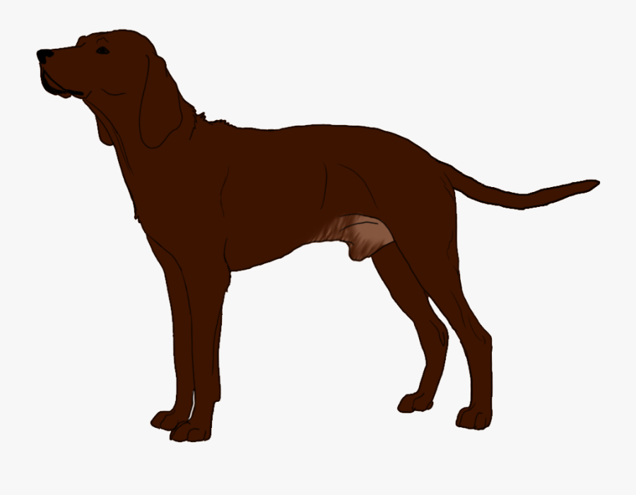 Redbone Coonhound Labrador Retriever Dog Breed Puppy - Redbone Coonhound Transparent Background, Transparent Clipart