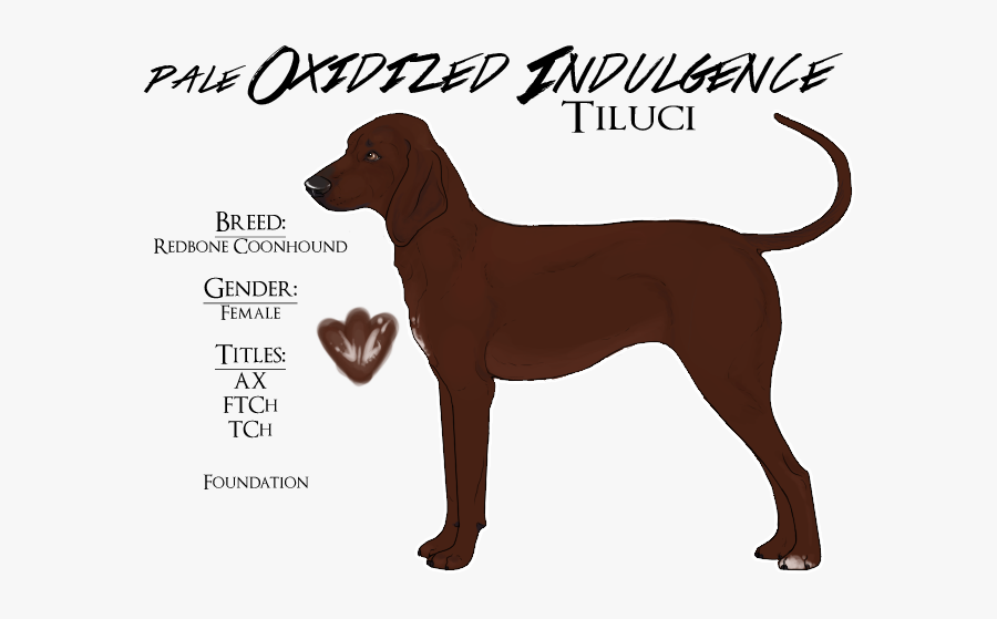 Dog Breed German Shorthaired Pointer Dachshund - Ancient Dog Breeds, Transparent Clipart