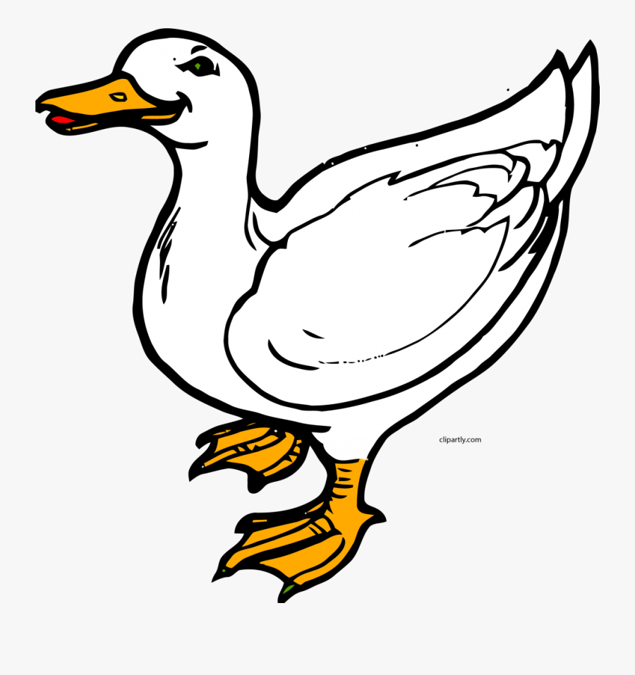 Clip Art Of A Duck, Transparent Clipart