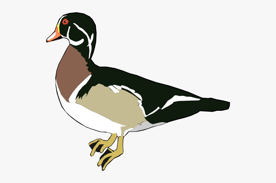 Green And White Duck Svg Clip Arts - Wood Duck Clipart Black And White, Transparent Clipart
