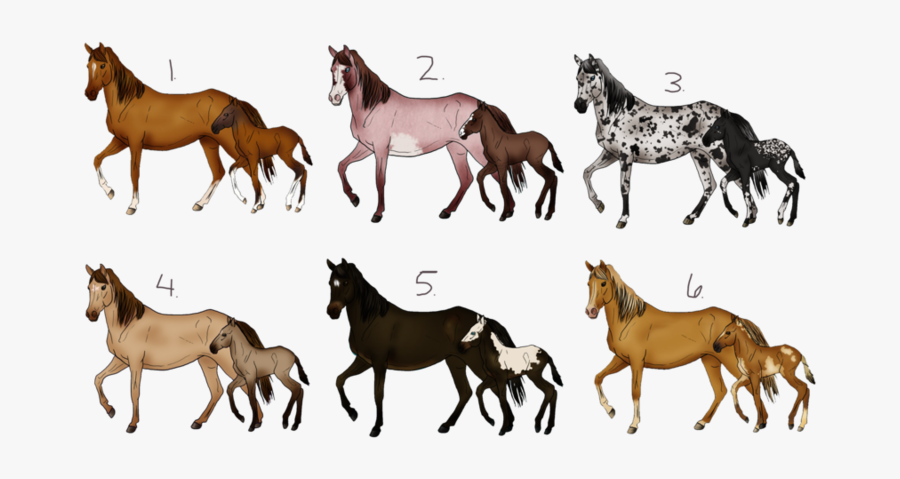 Mare And Foal Sale - Horse Deviantart Sale, Transparent Clipart