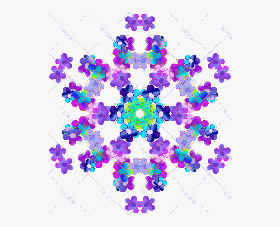 Circle, Transparent Clipart