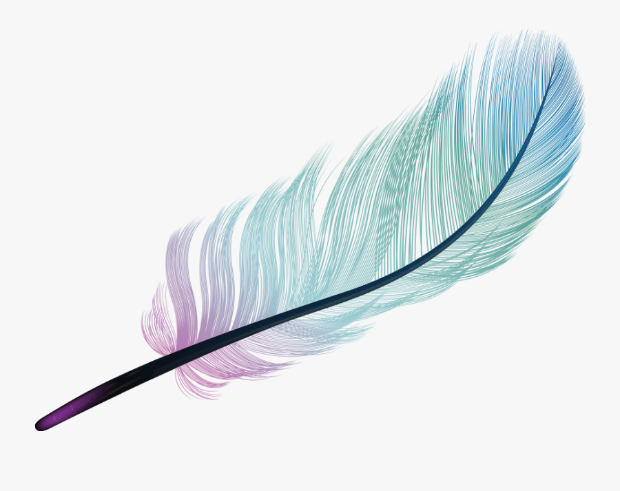 Feather Light Blue Color - Blue Feather Png, Transparent Clipart