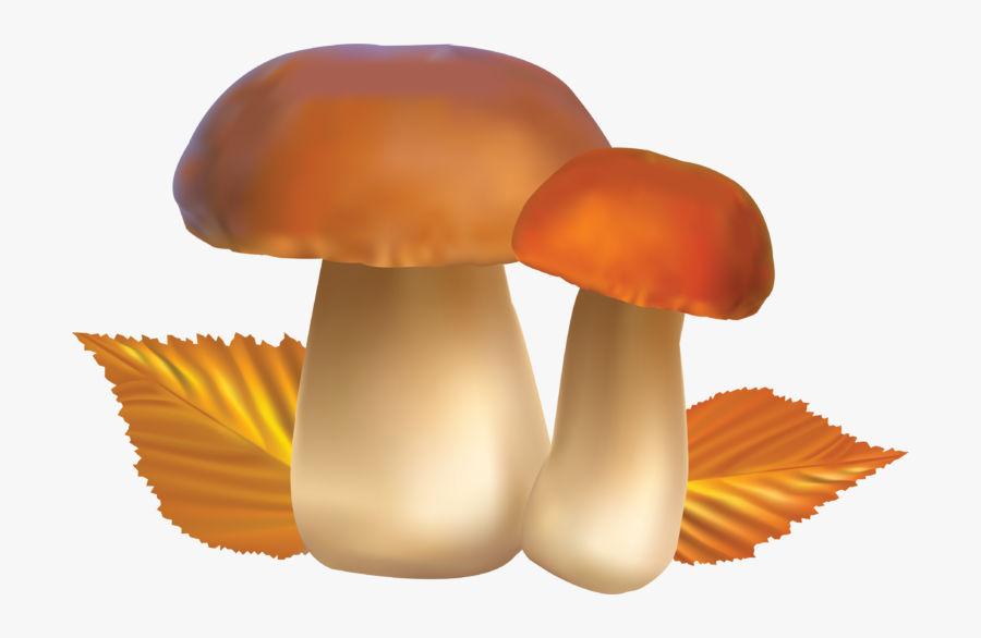 Mushroom Clipart, Transparent Clipart