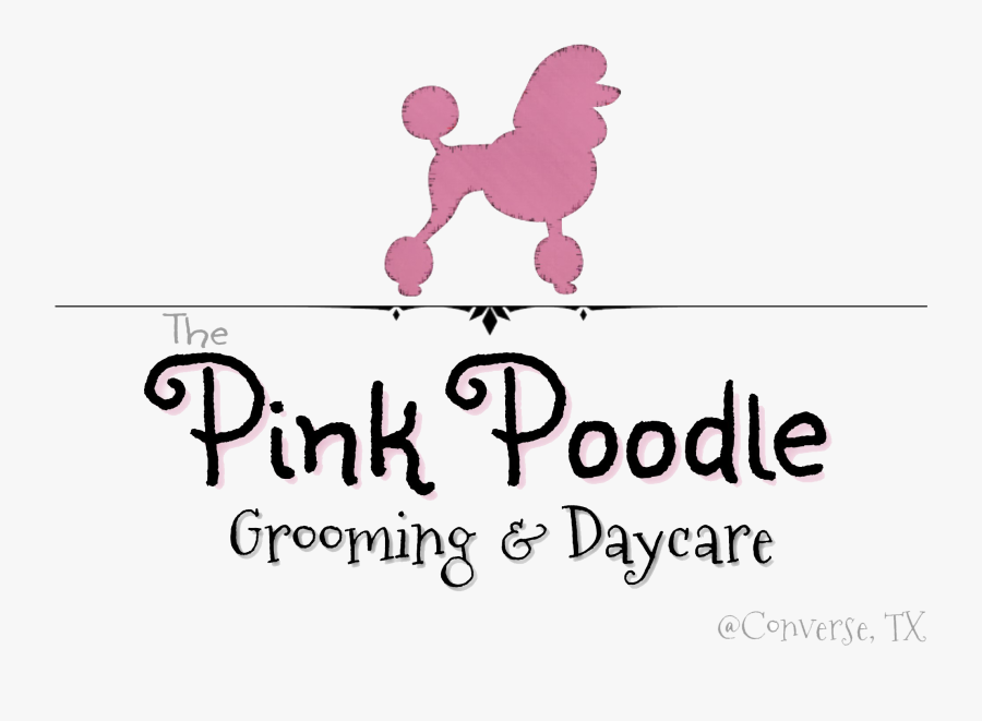 Pink Poodle Grooming & Daycare - Miniature Poodle, Transparent Clipart
