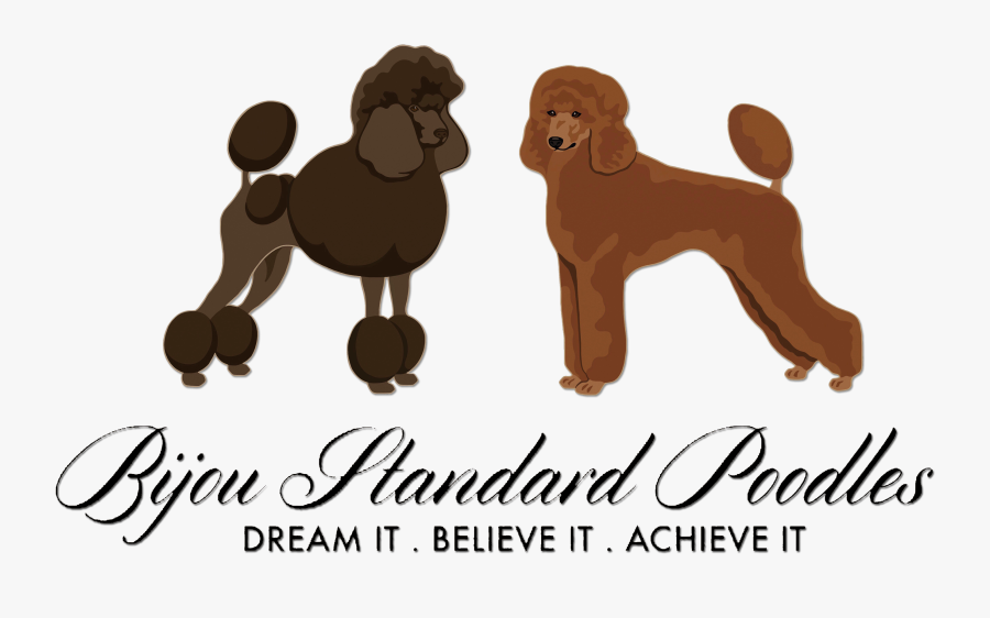 Poodle, Transparent Clipart