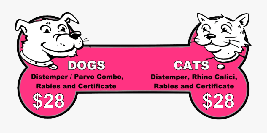 Dog And Cat Shots As Low As $26 - Cats And Dogs Shots, Transparent Clipart