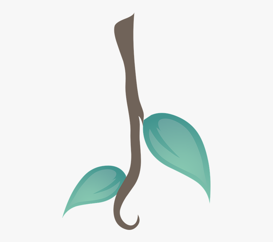 Transparent Plants Clipart - Clipart Liana, Transparent Clipart