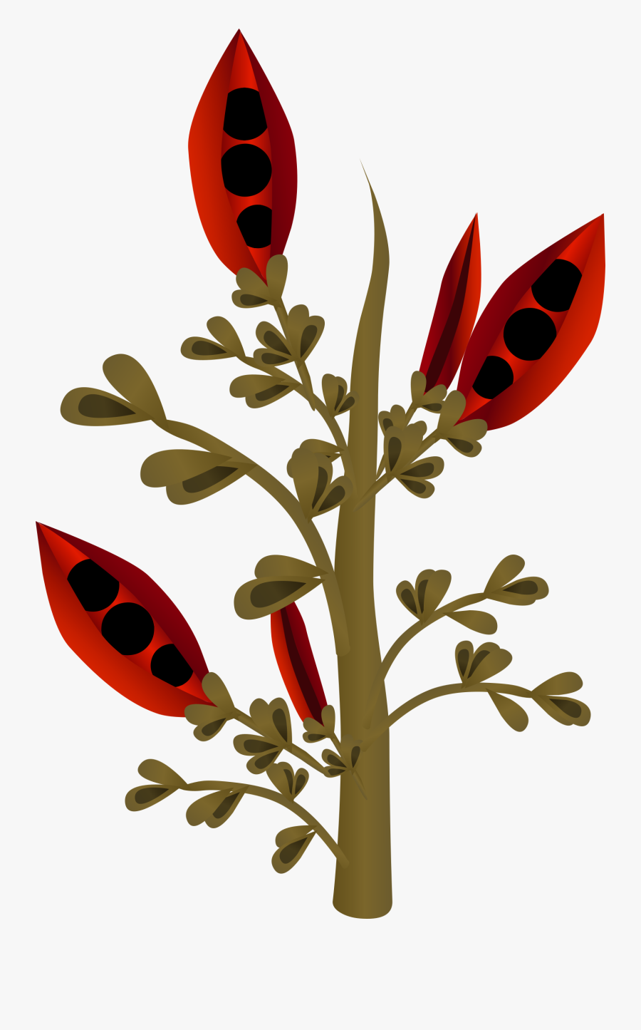 This Free Icons Png Design Of Firebog Firebean - Plants, Transparent Clipart