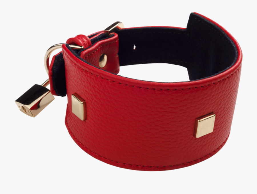 Accessories For Dog Collar, Transparent Clipart