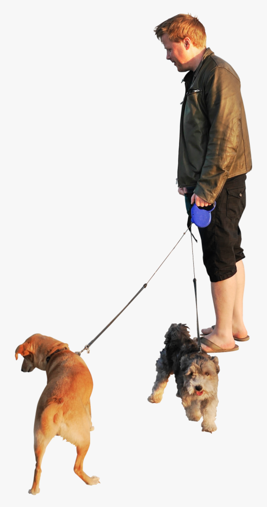 Dogs Beach Sunset Png Image - Dog Walking Png, Transparent Clipart
