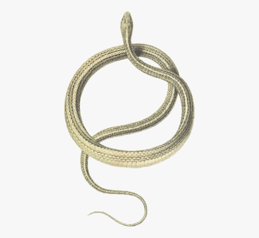 Jewellery,chain,body Jewelry - Fantasy Grounds Token, Transparent Clipart