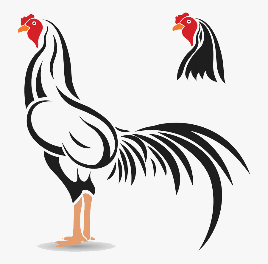 Cockfight Rooster Illustration - รูป ไก่ เวก เตอร์, Transparent Clipart