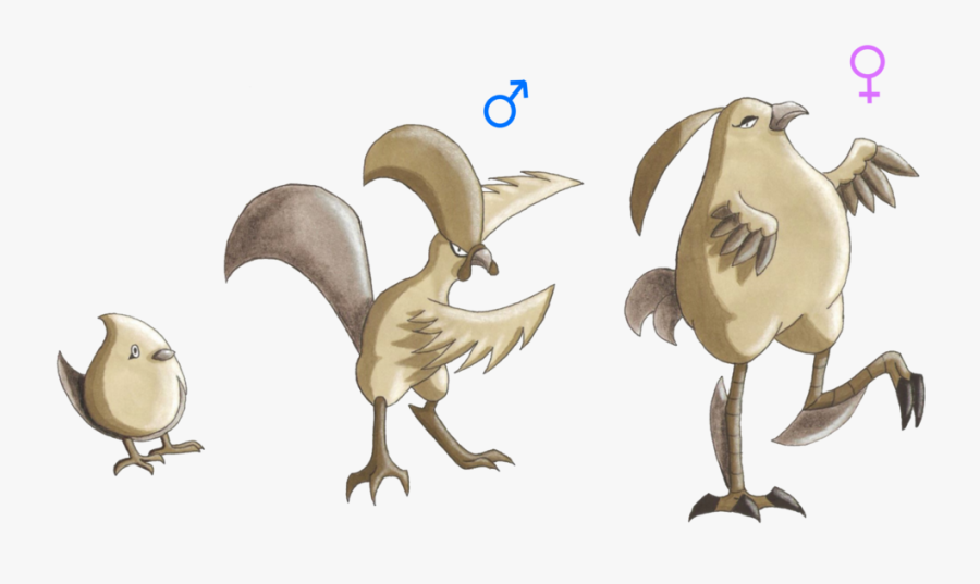 Bird Of Prey Beak Illustration Fauna - Cock Fakemon, Transparent Clipart