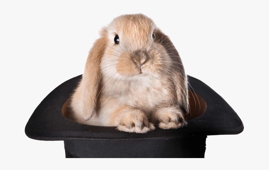 Rabbit Hat Png - Bunny Coming Out Of A Hat, Transparent Clipart