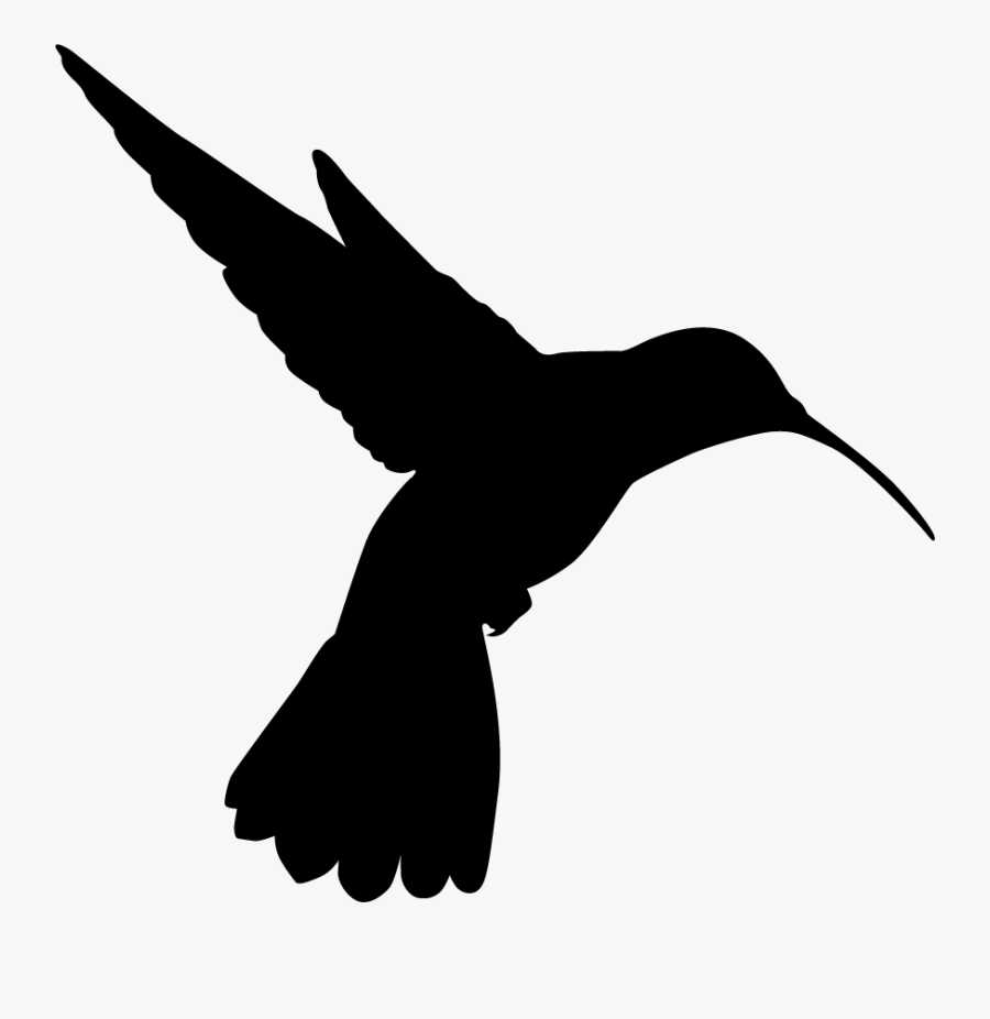 Hummingbird, Transparent Clipart