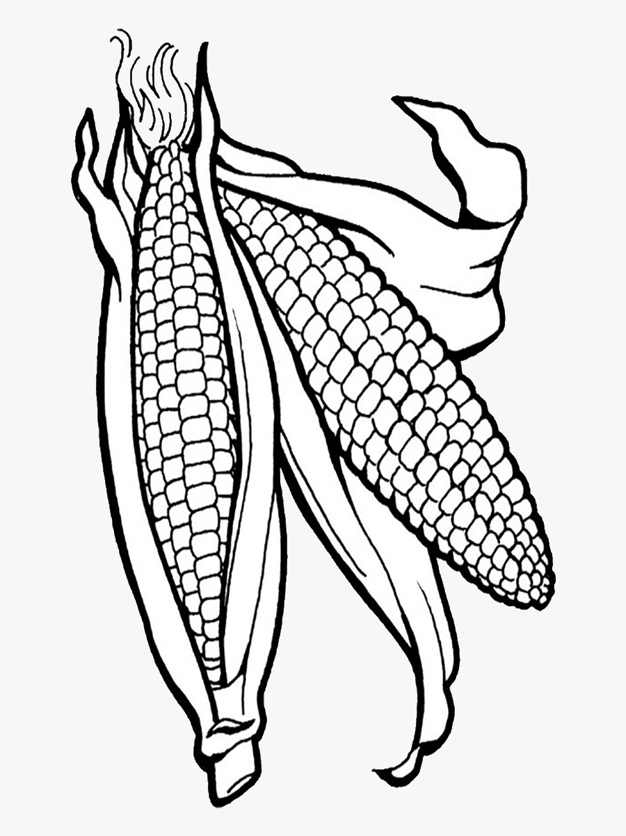 Corn Clipart Png Corn Clipart - Corn Coloring Page, Transparent Clipart