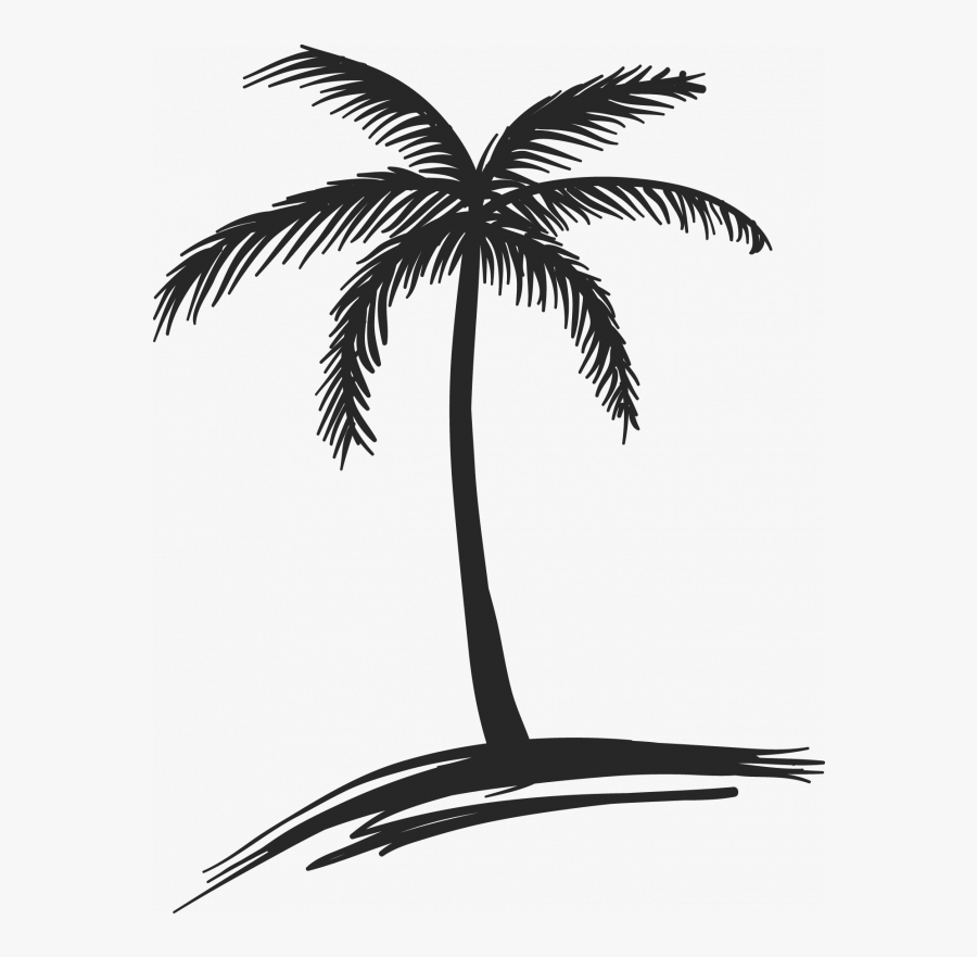 Transparent Coconut Clipart Black And White - Coconut Tree Drawing Png, Transparent Clipart