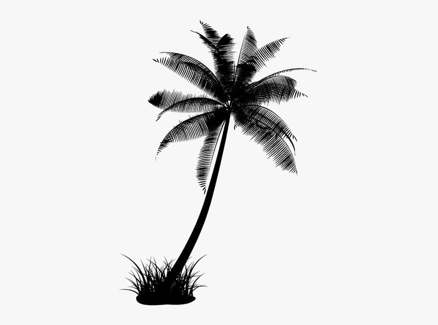 Black Coconut Tree Transparent - Coconut Tree Silhouette Png, Transparent Clipart