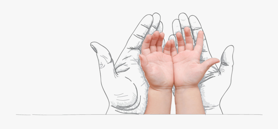 Trust Your Financial Statements In The Hands Of Mwe"s - Sketch, Transparent Clipart