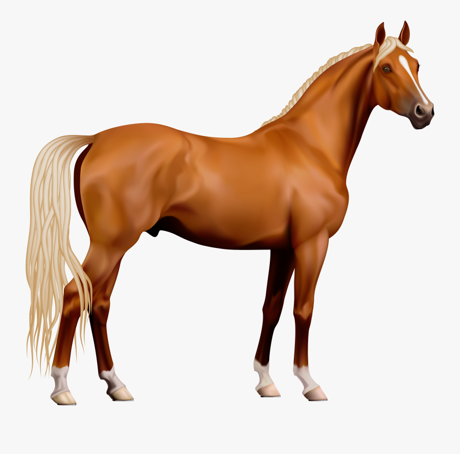 A Horse, Transparent Clipart